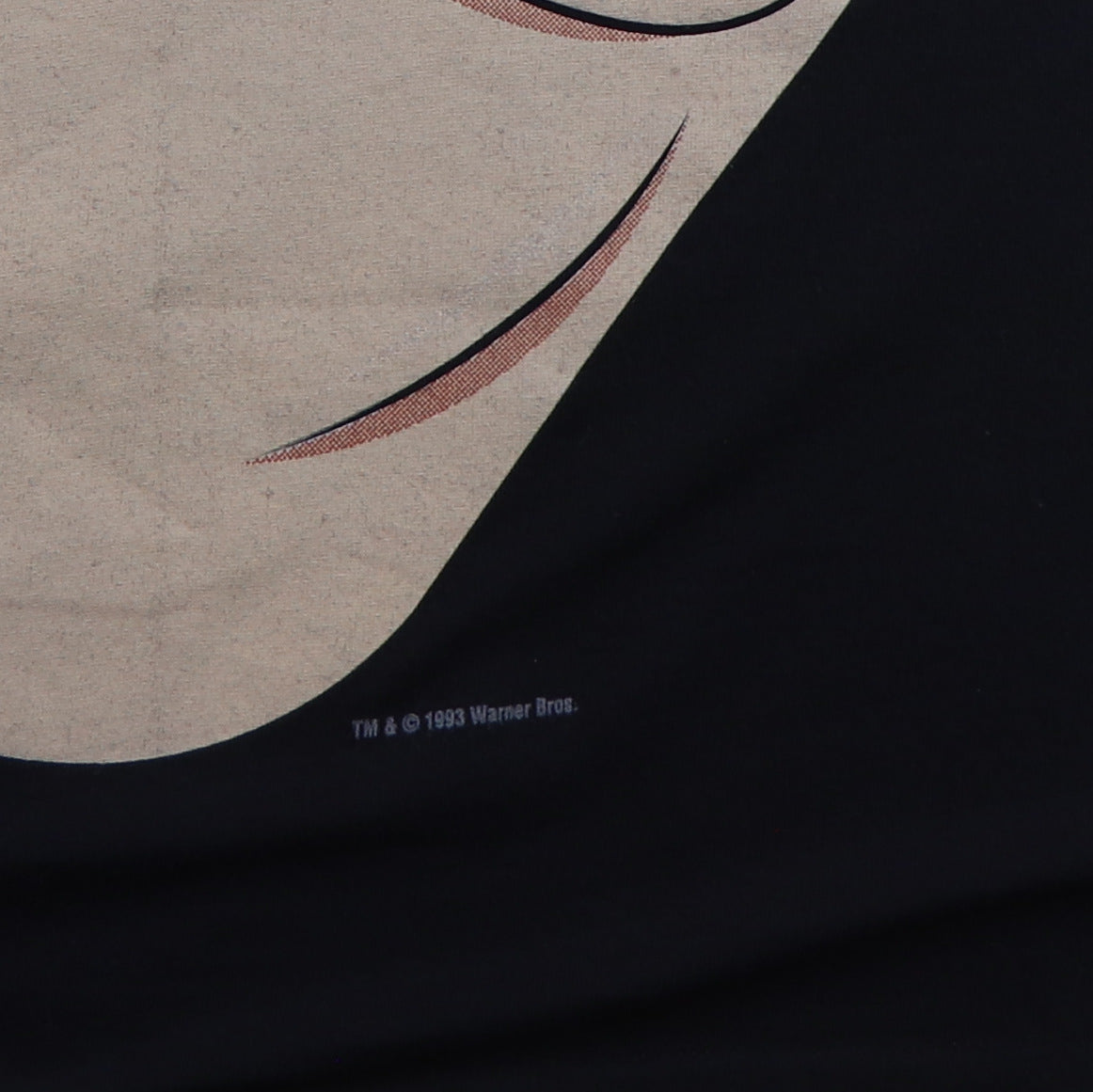 1993 Taz Tazmanian Devil Warner Brothers Shirt