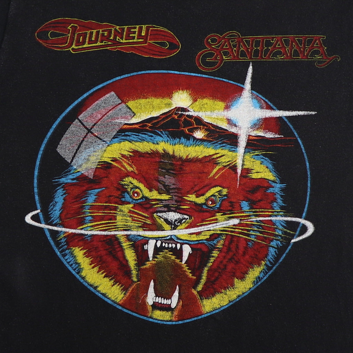 1979 The Loop's Day In The Park Thin Lizzy Concert Shirt