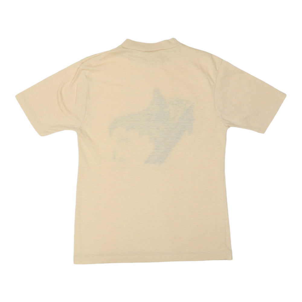 1975 Batman & Robin DC Comics Shirt