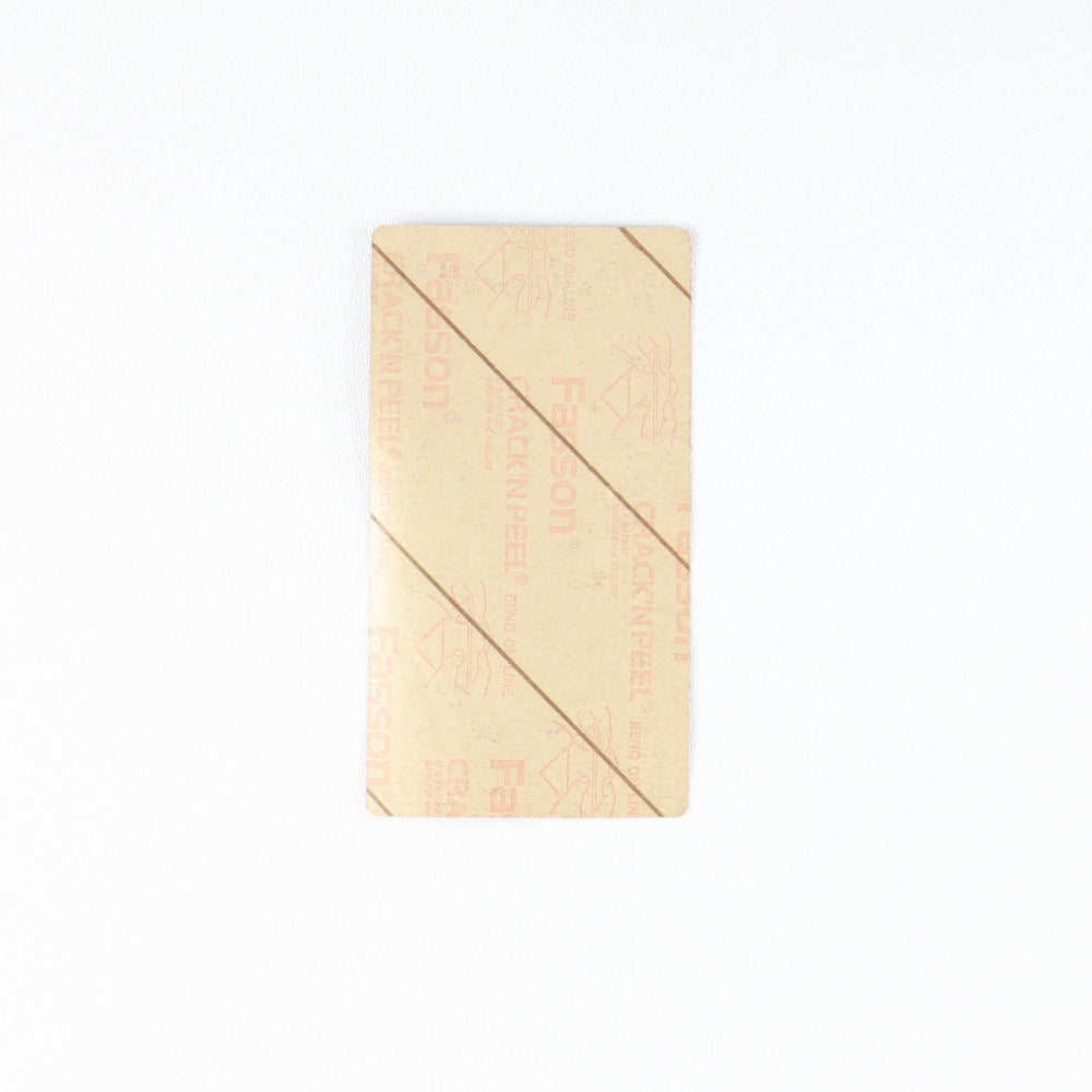 1981 Styx Detroit Tour House Staff Pass