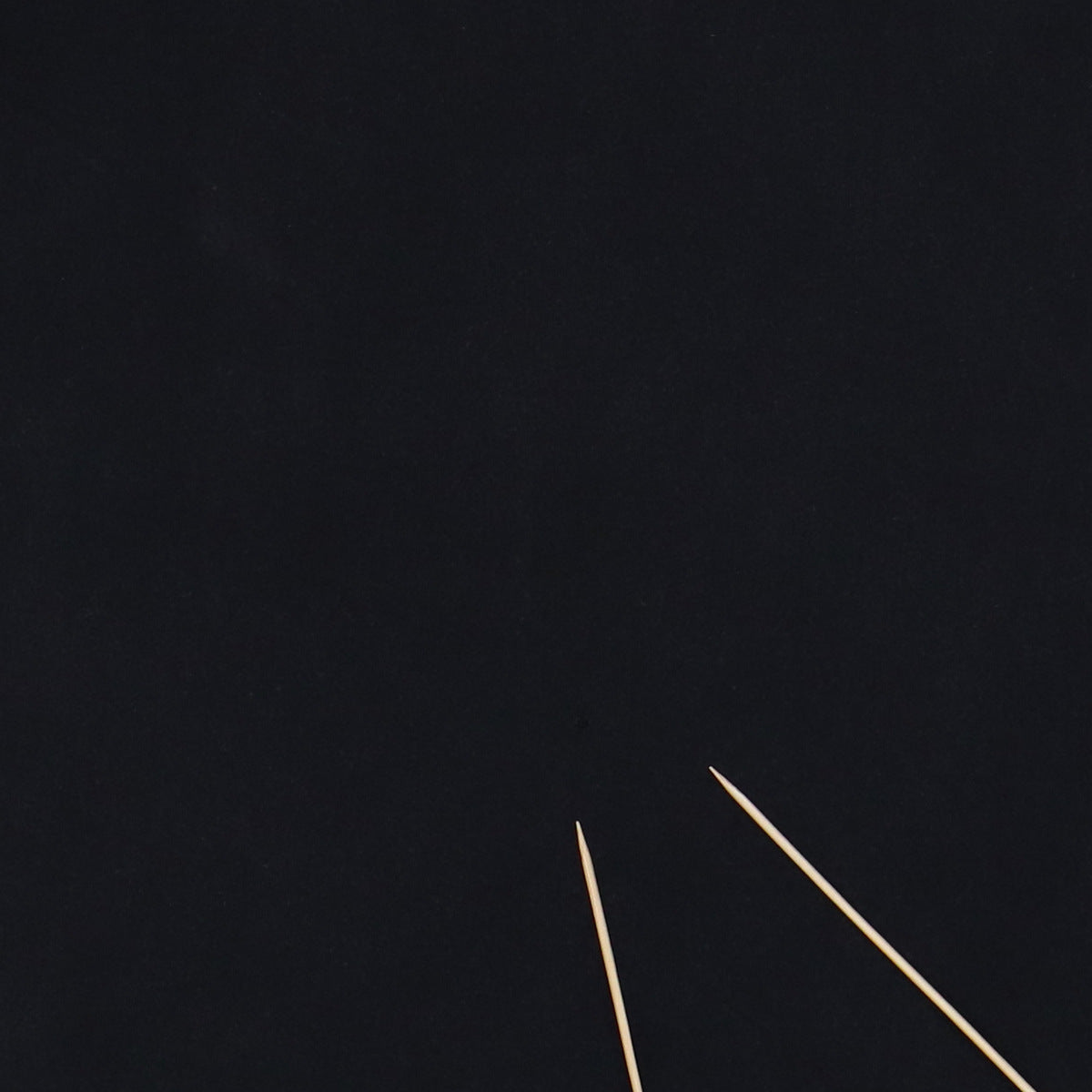 1995 Tom Petty & The Heartbreakers North American Tour Shirt