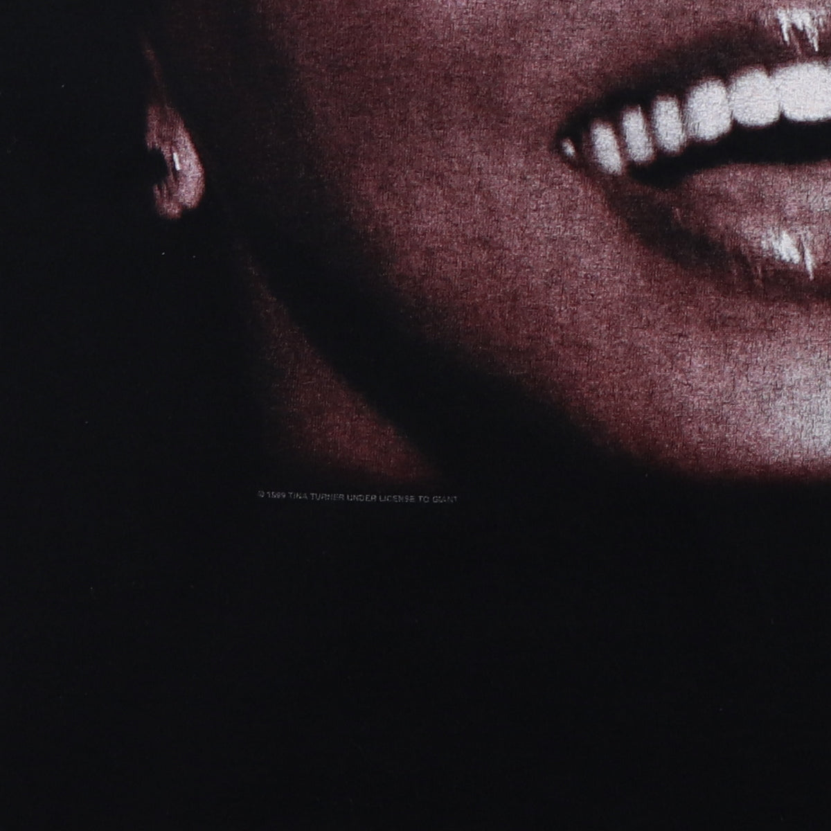 1999 Tina Turner Shirt