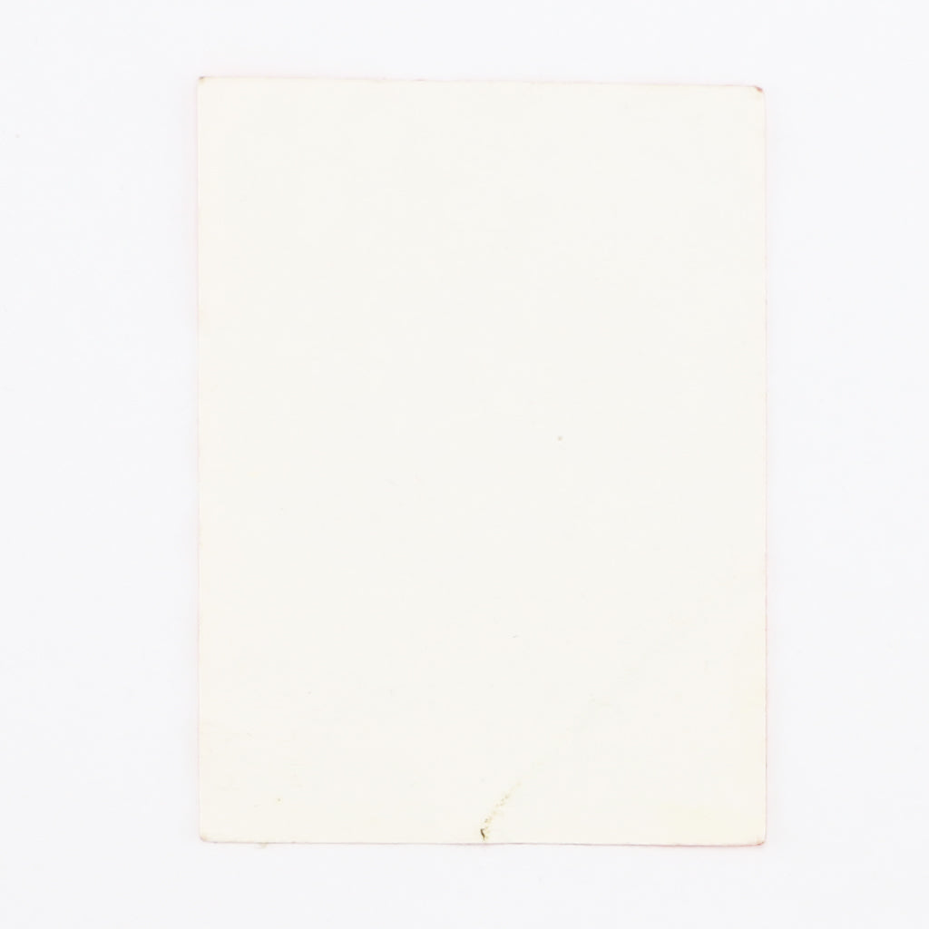 1990 UB40 Labour Of Love II Tour Working Personnel Pass