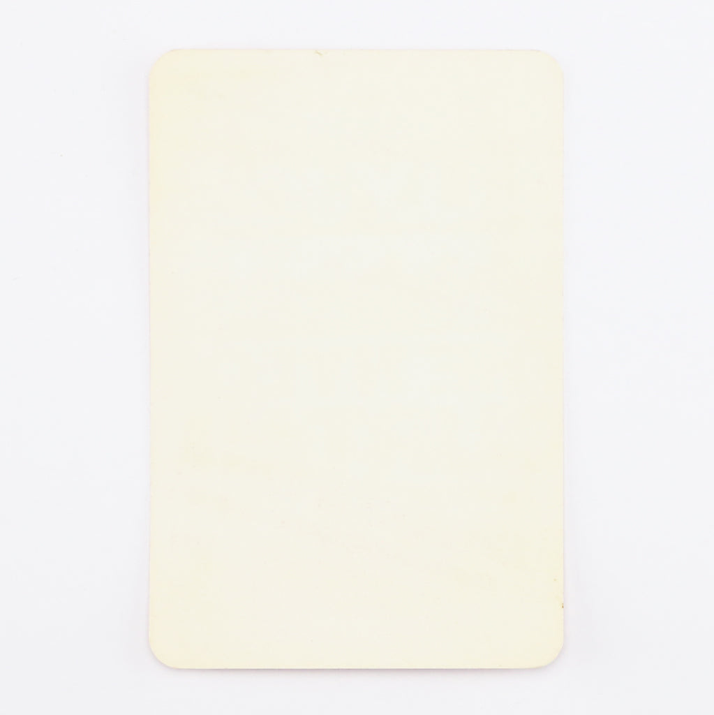 1981 Bruce Springsteen Summer Tour After Show Only Pass