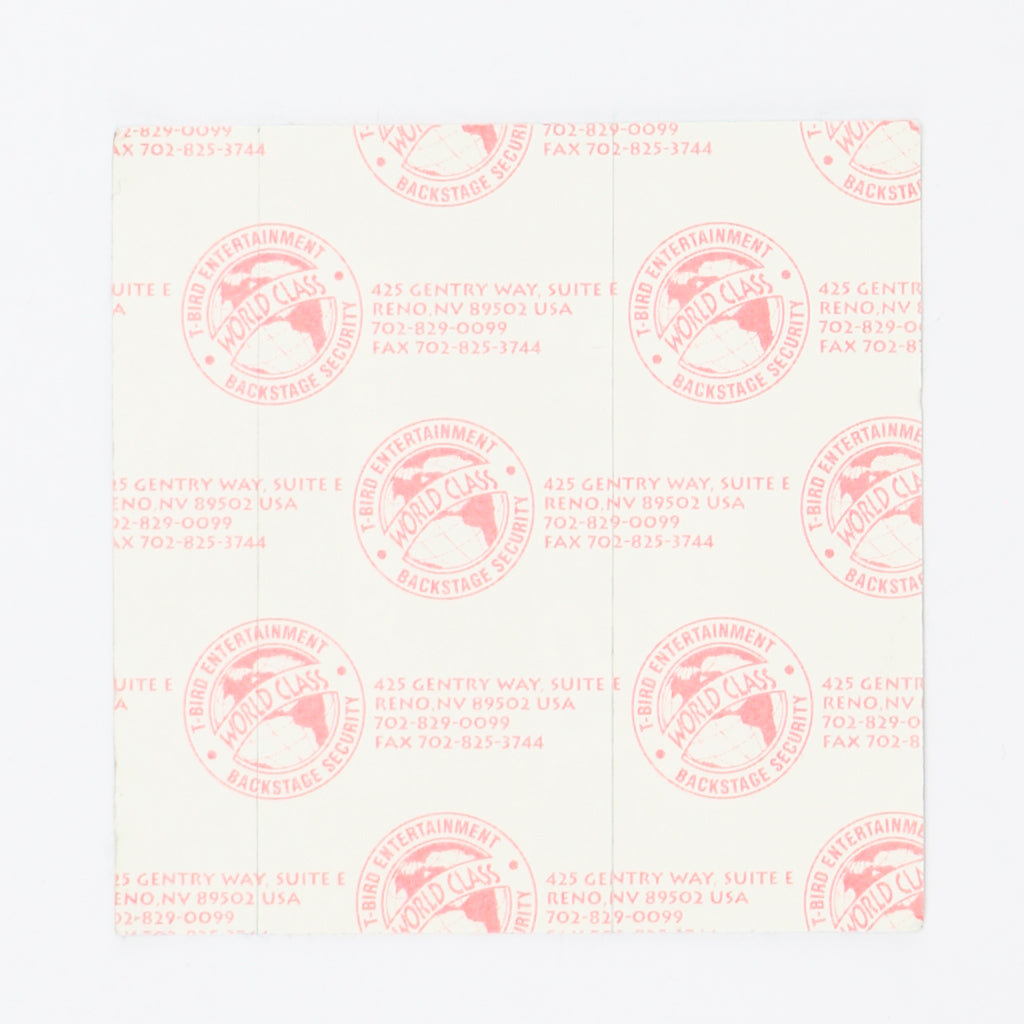 1991 Luther Vandross Power Of Love Tour Guest Pass