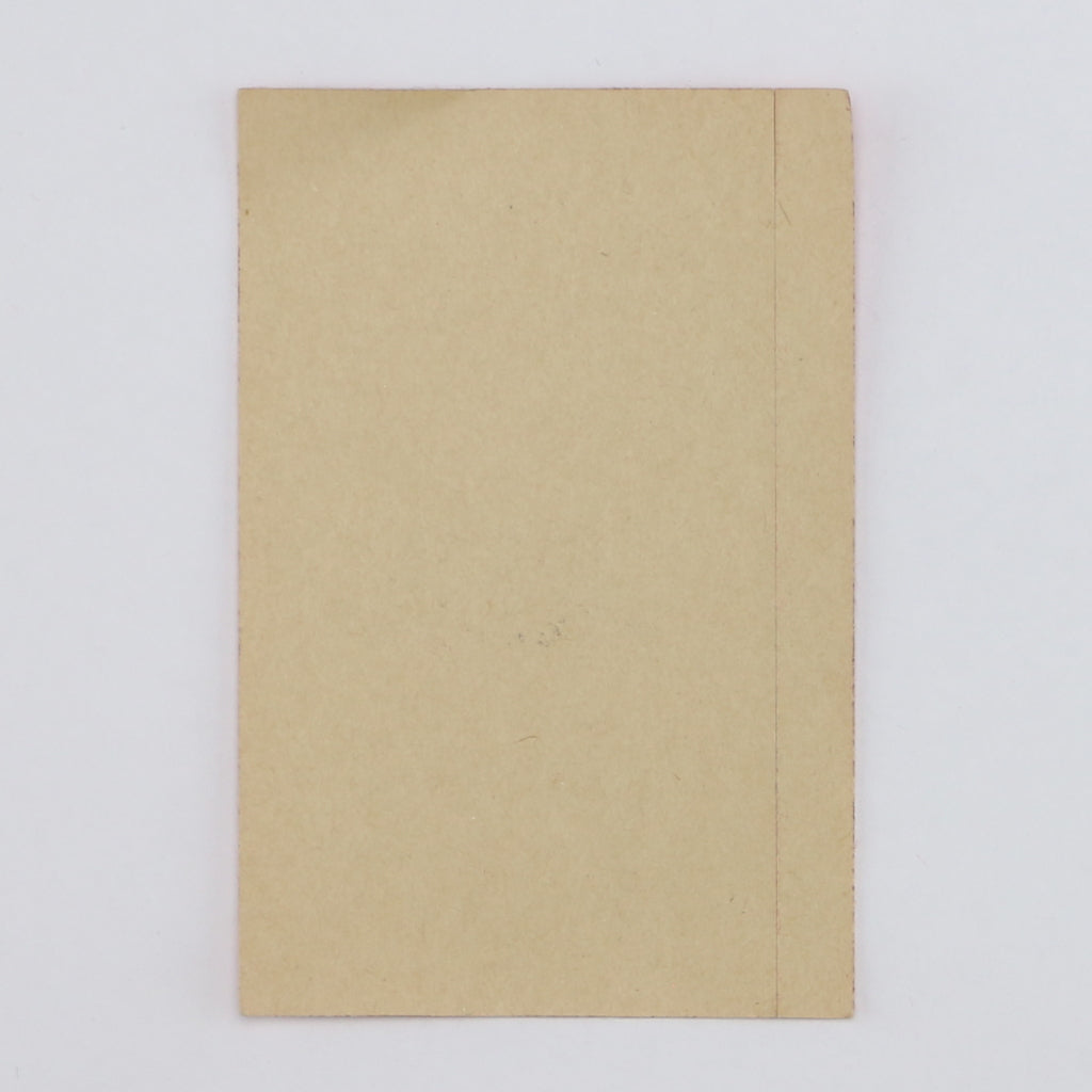 1980 Bruce Springsteen The River Tour Backstage Pass