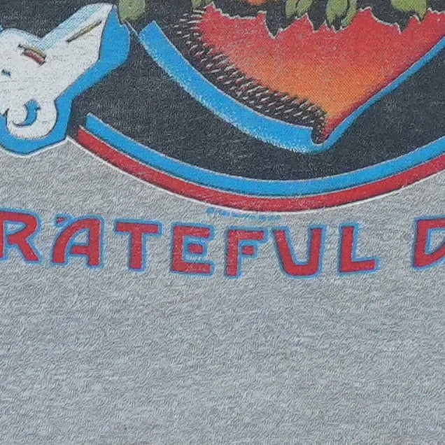 1980 Grateful Dead Jersey Shirt