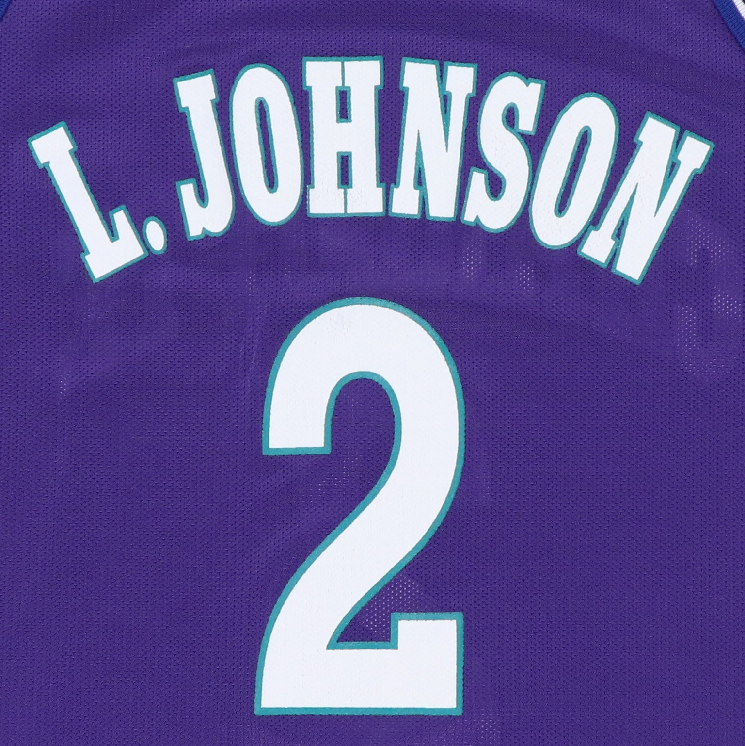 Original vintage 1990s Larry Johnson Charlotte Hornets NBA
