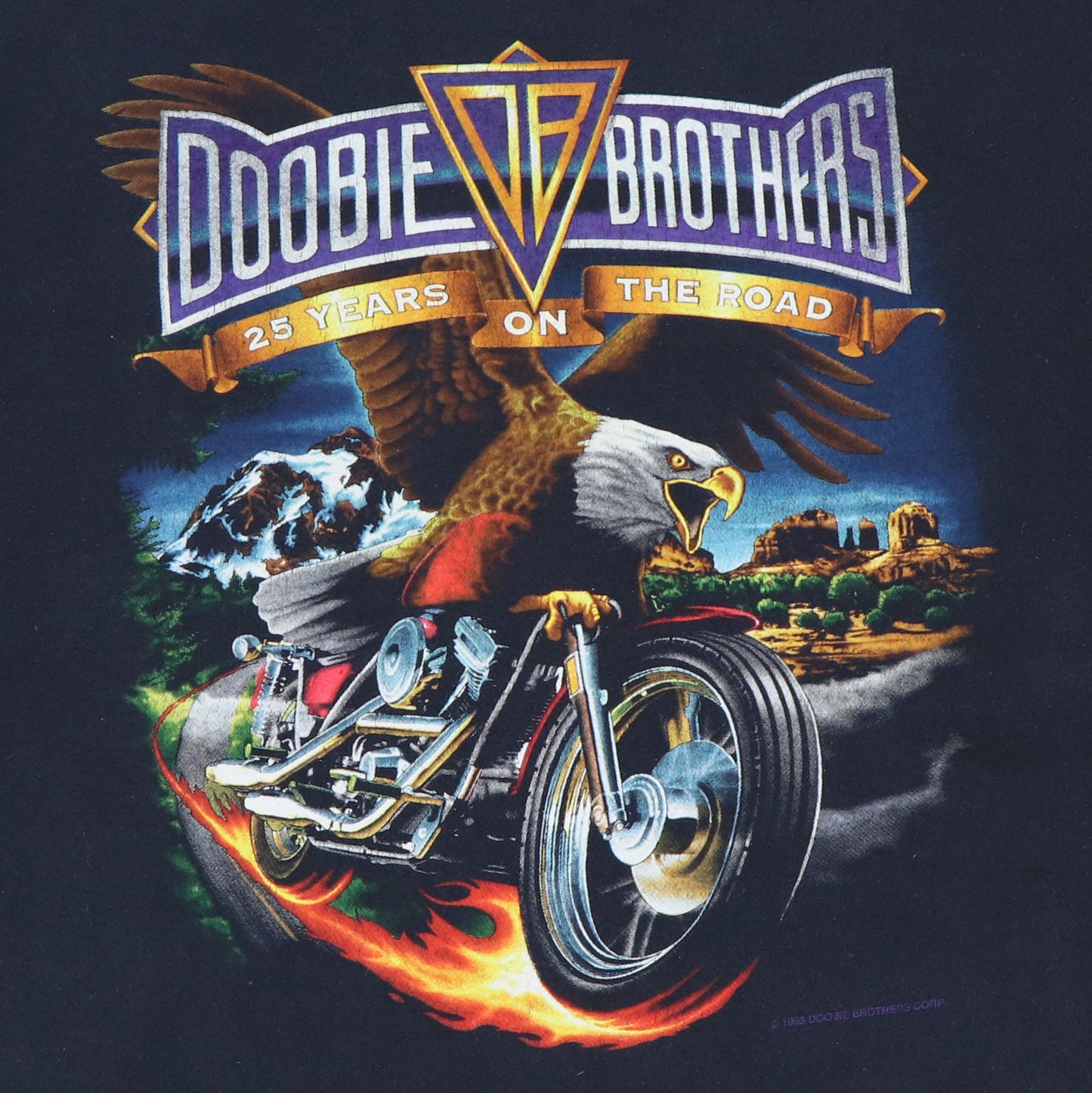 1994 Doobie Brothers World Tour Shirt