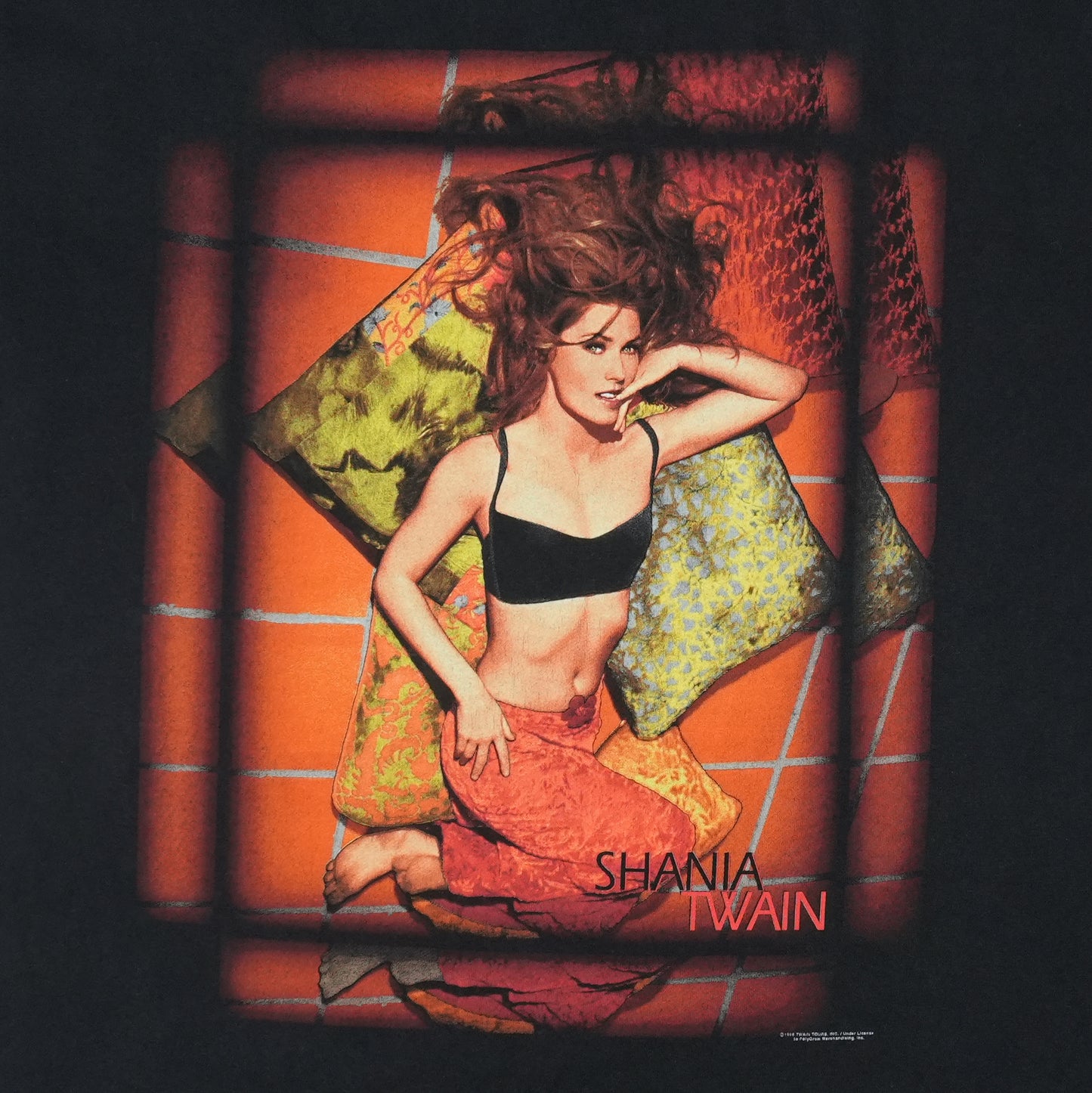 1998 Shania Twain Shirt Detail