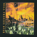 1994 Eagles Hell Freezes Over Tour Shirt Detail