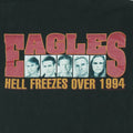 1994 Eagles Hell Freezes Over Tour Shirt Detail