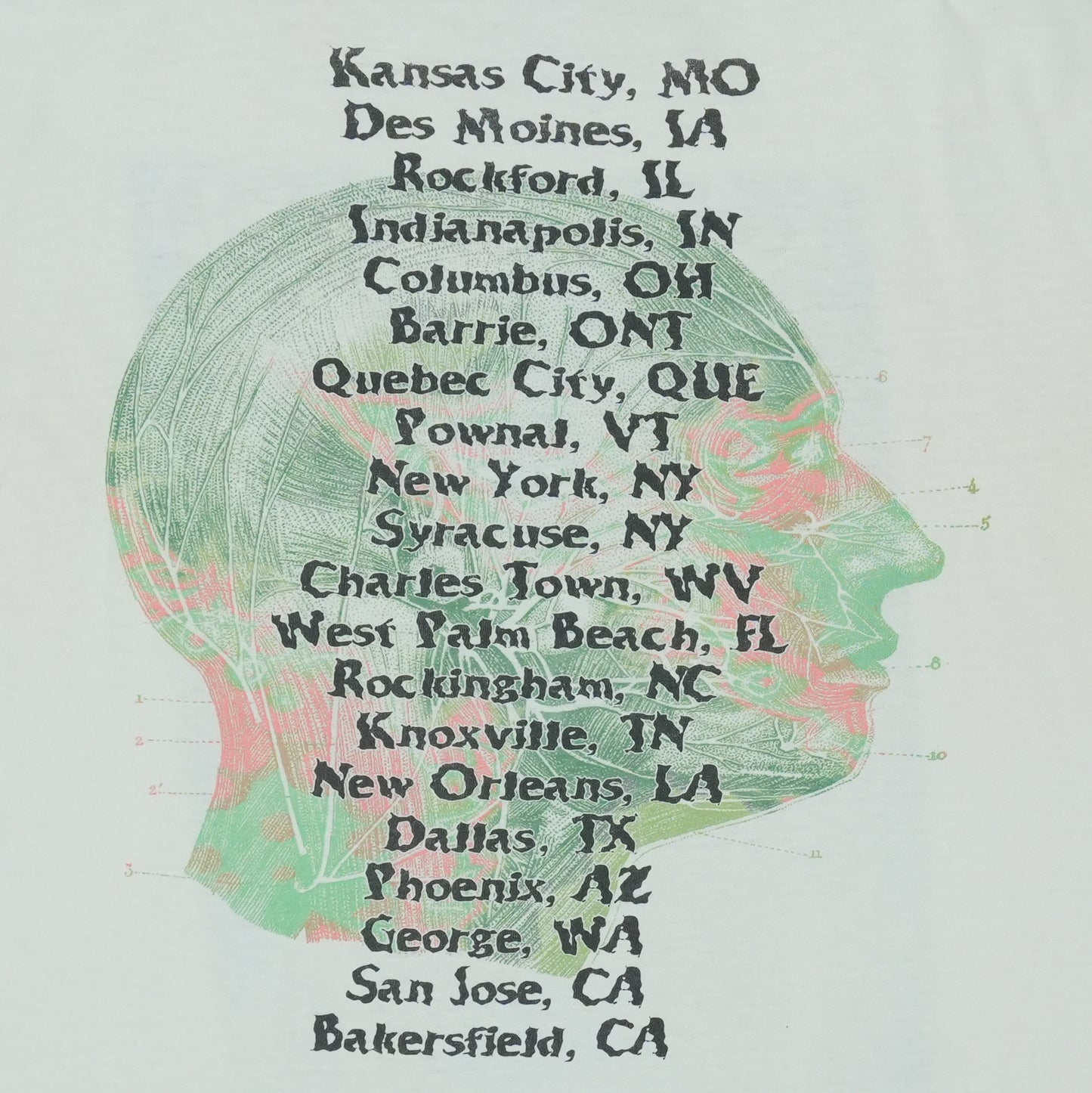 1996 Lollapalooza Tour Shirt Detail