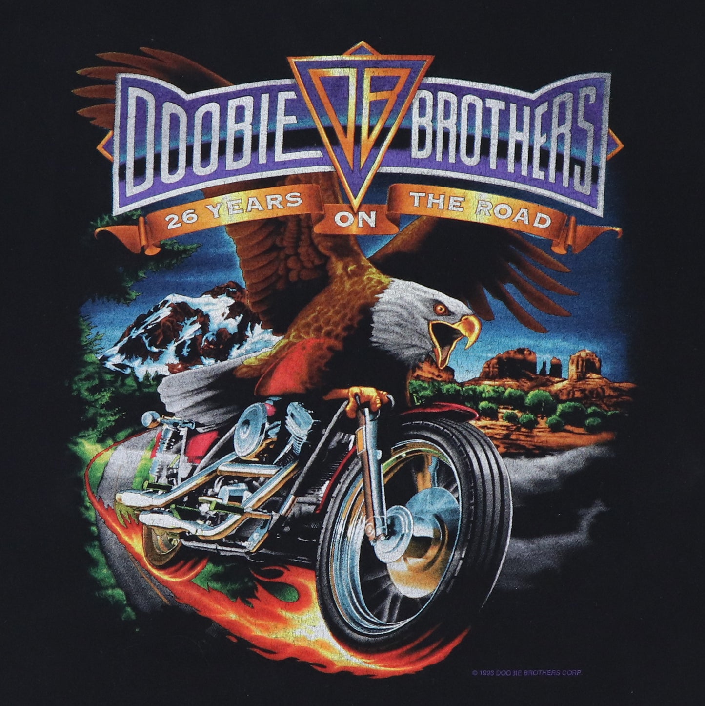 1993 Doobie Brothers World Tour Shirt