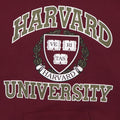 1990s Harvard University Hoodie