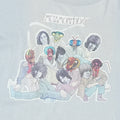 1975 Rolling Stones Metamorphosis Shirt Detail