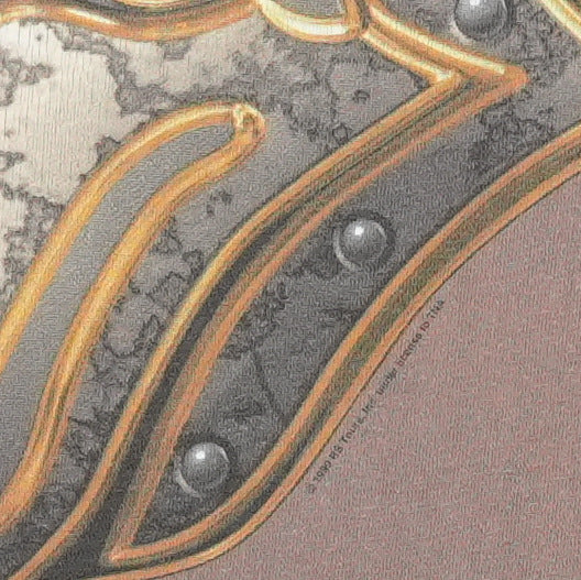 1999 Rolling Stones No Security Tour Shirt Detail