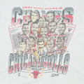 1991 Chicago Bulls Champions Shirt Detail