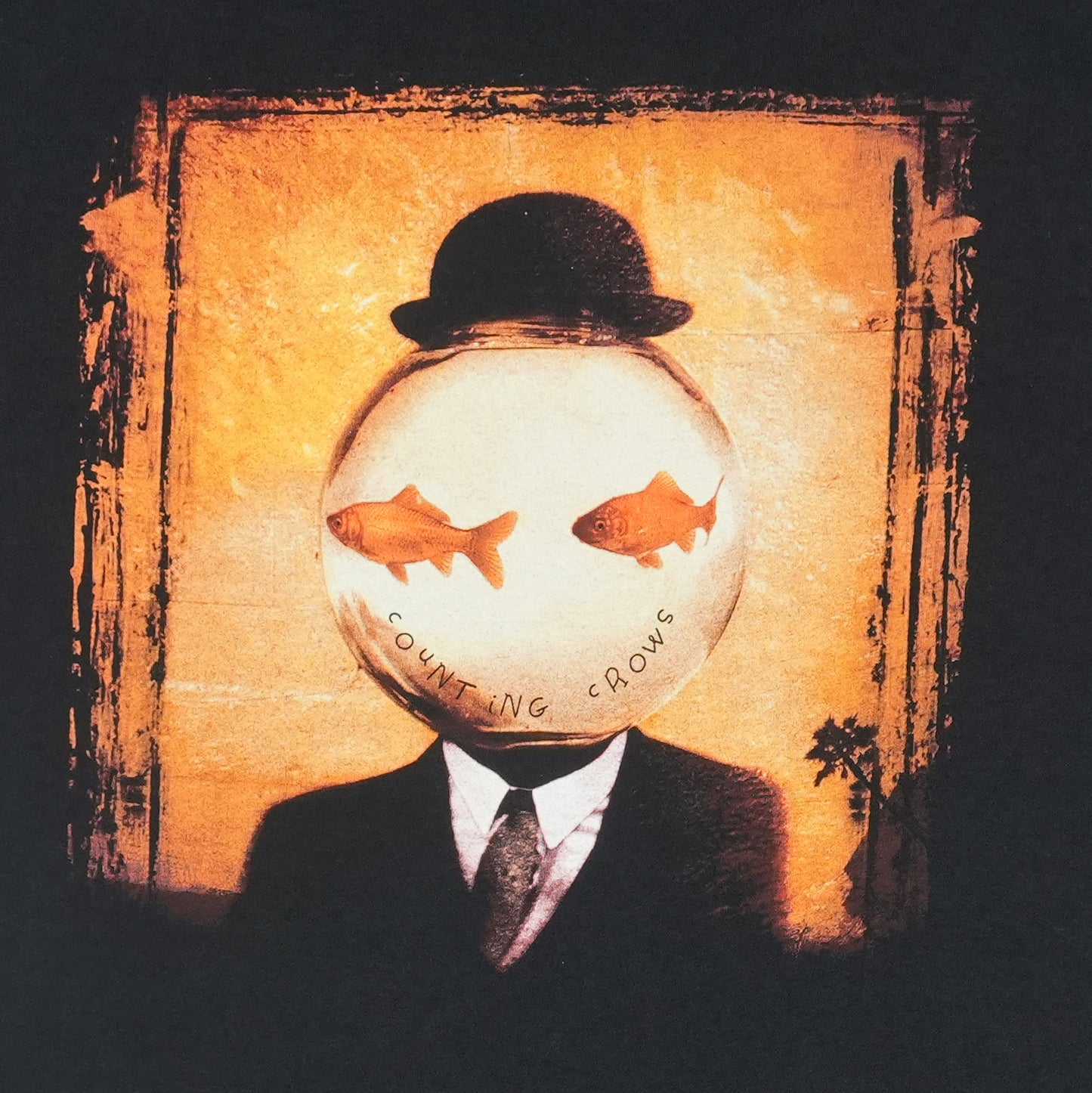 1999 Counting Crows Desert Life Tour Shirt Detail