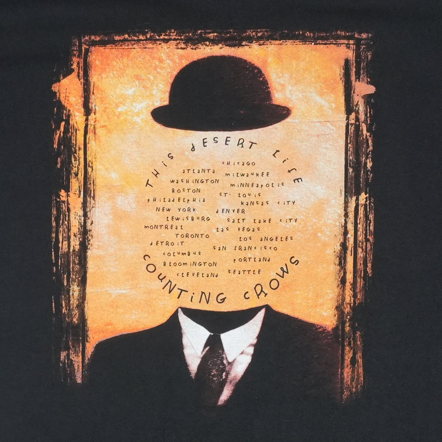 1999 Counting Crows Desert Life Tour Shirt Detail