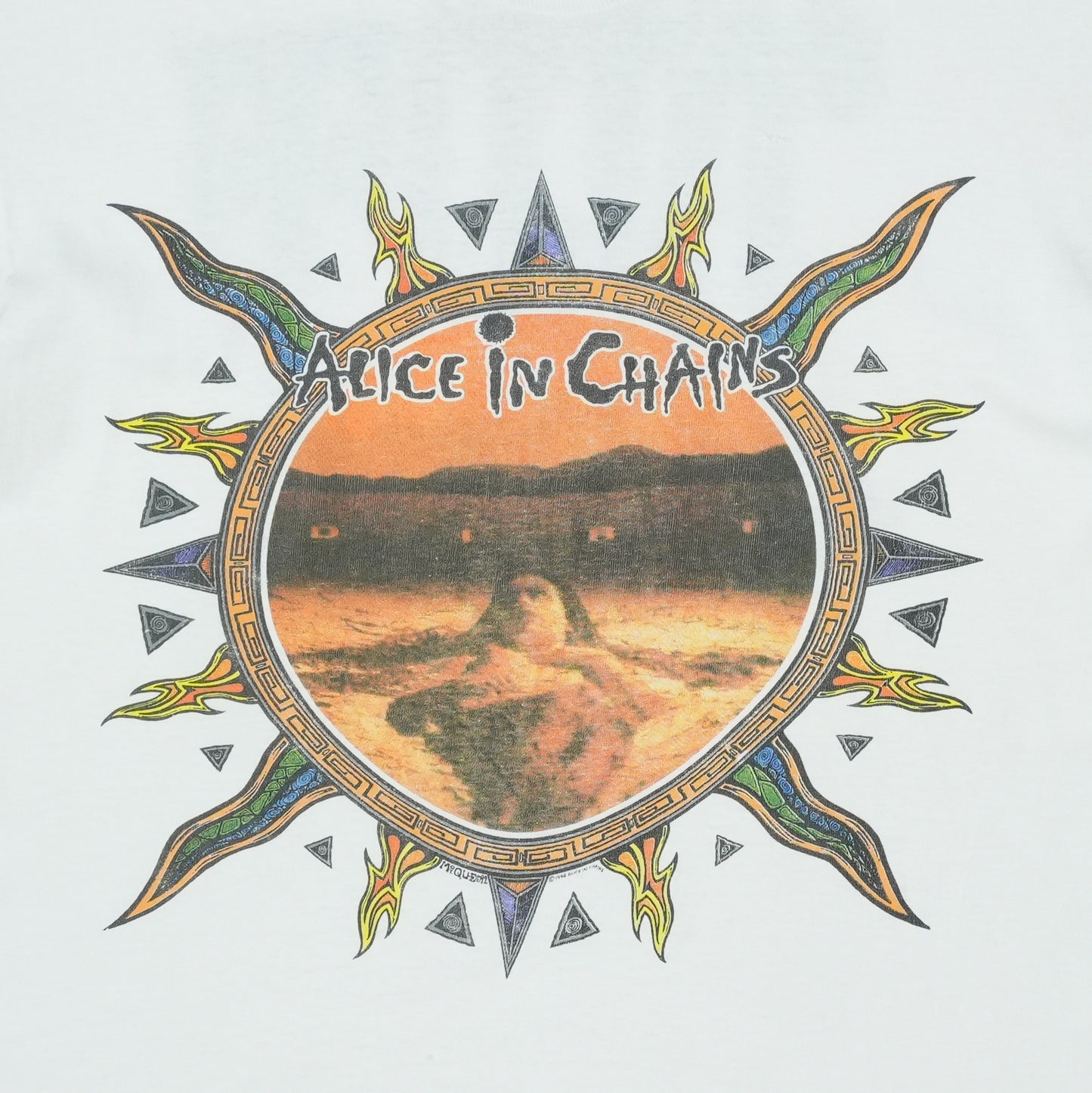 1992 Alice In Chains Dirt Shirt Detail