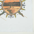 1992 Alice In Chains Dirt Shirt Detail
