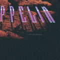 1994 Led Zeppelin ZoSo Winterland Shirt Detail