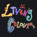 1993 Living Colour Stained Tour Tour