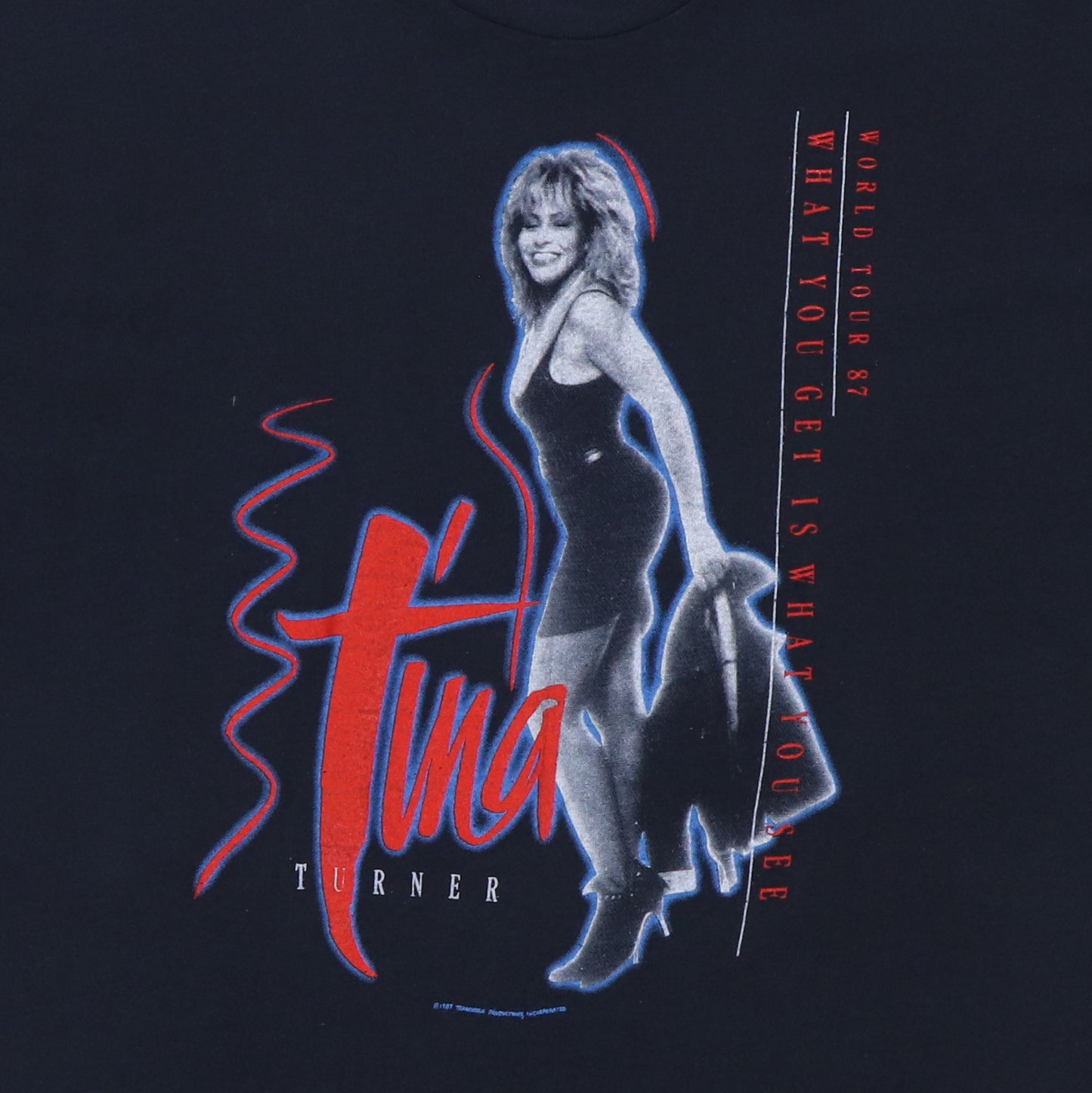 1987 Tina Turner Break Every Rule Tour Shirt