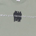 2000s Living Colour Whats Your Favorite Colour Shirt