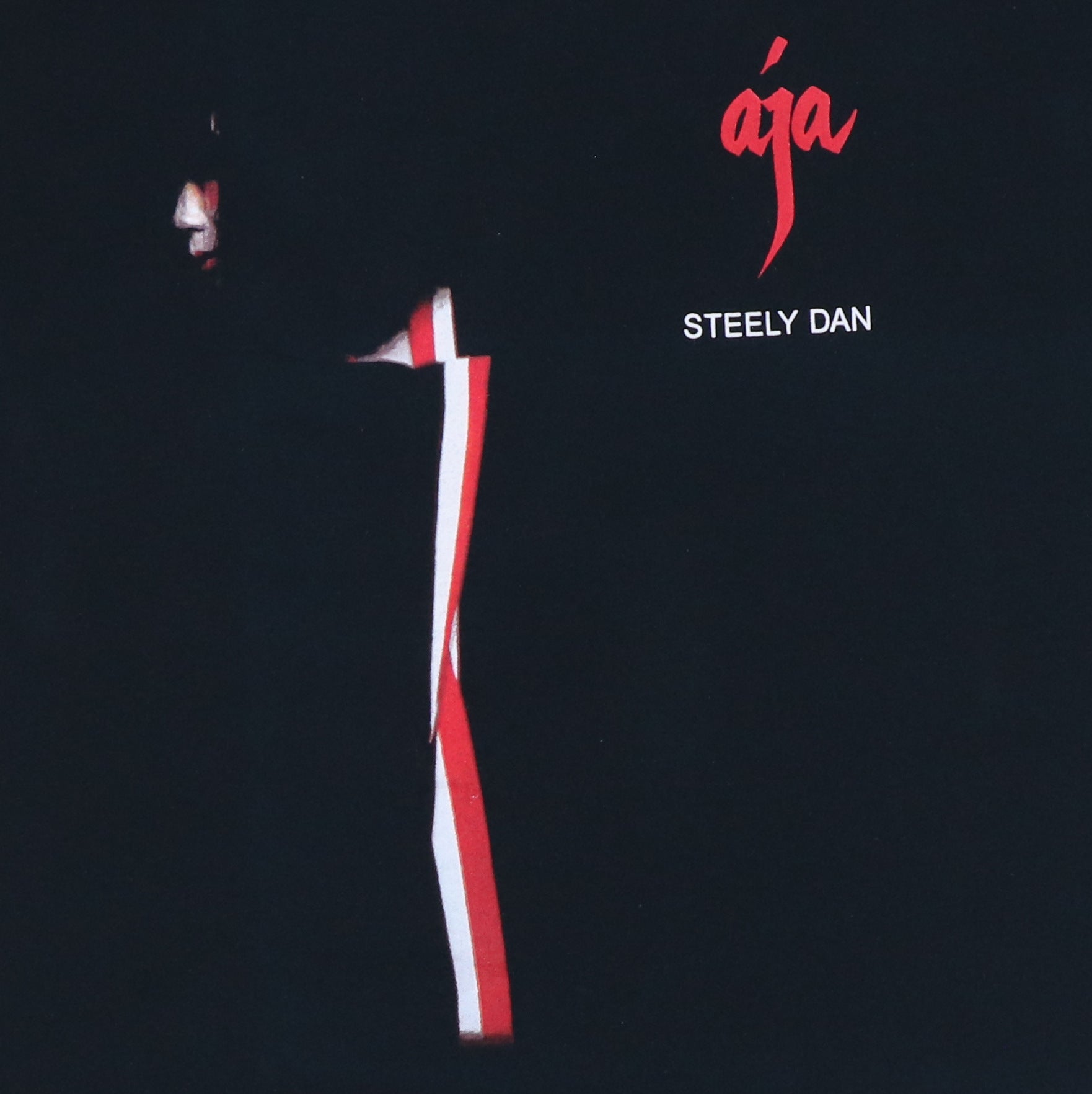 2003 Steely Dan Aja Tour Shirt | Authentic Vintage Tee – WyCo Vintage