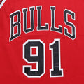 1990s Dennis Rodman Chicago Bulls NBA Jersey
