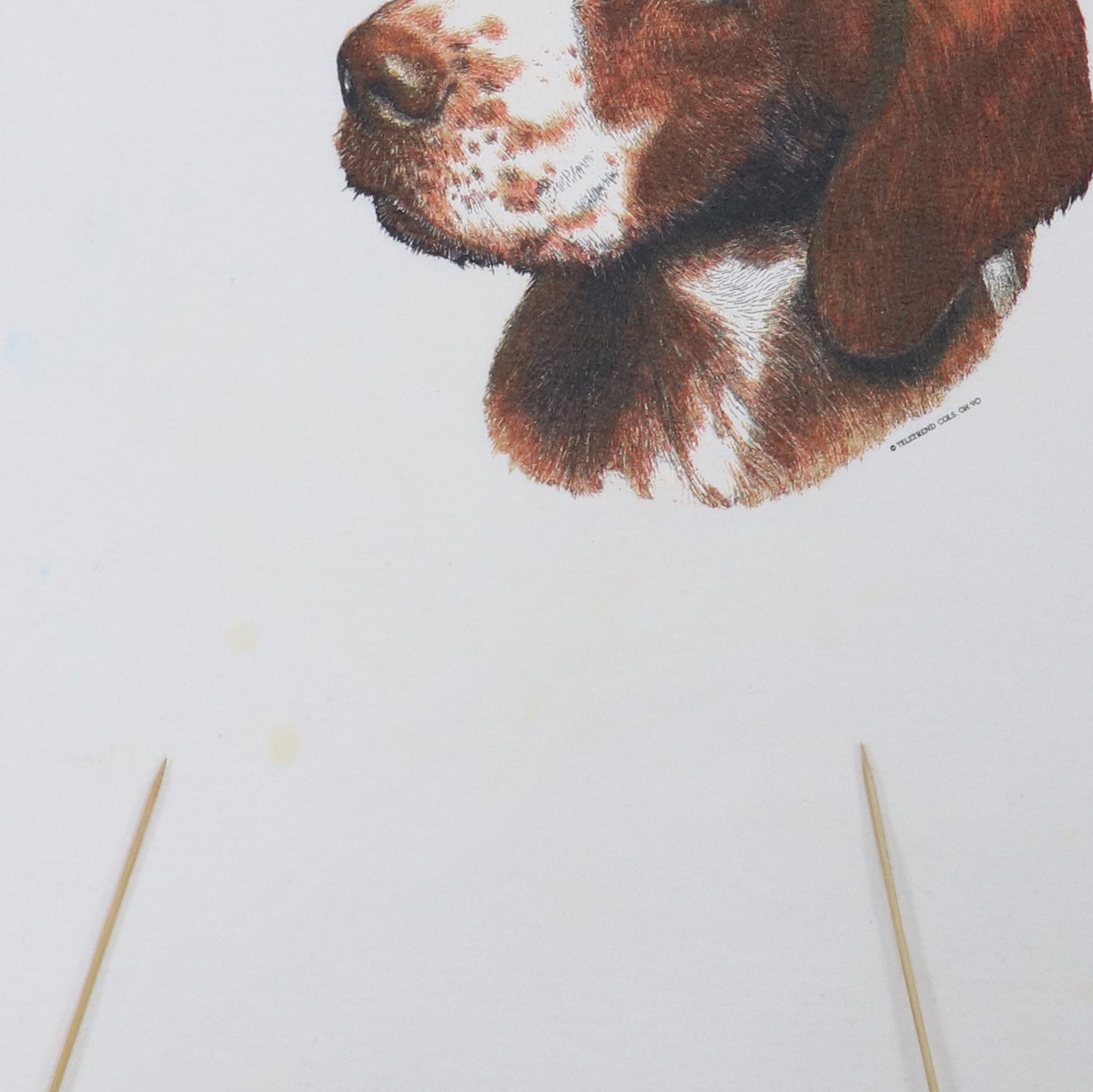 1990s Brittany Spaniel Dog Shirt