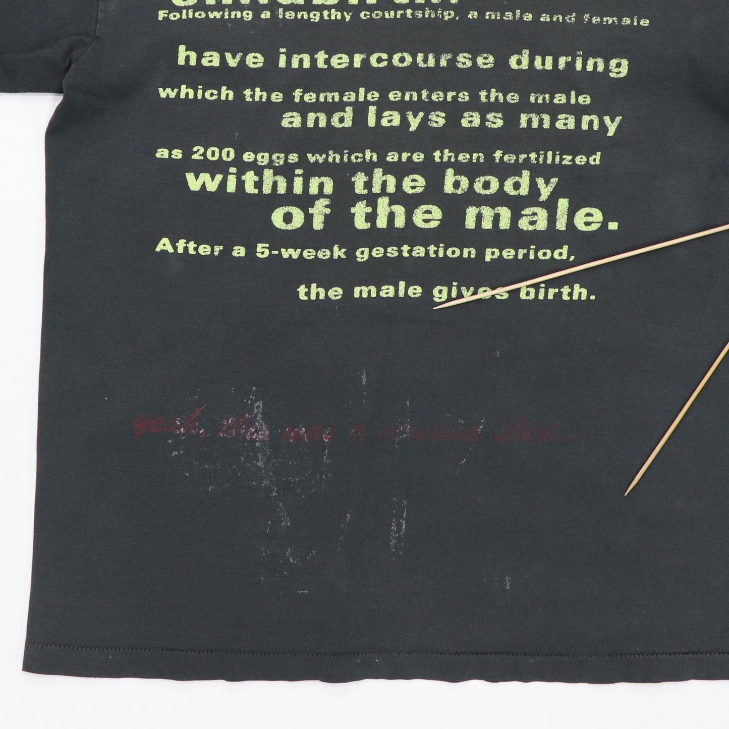 1993 Nirvana Seahorse Shirt
