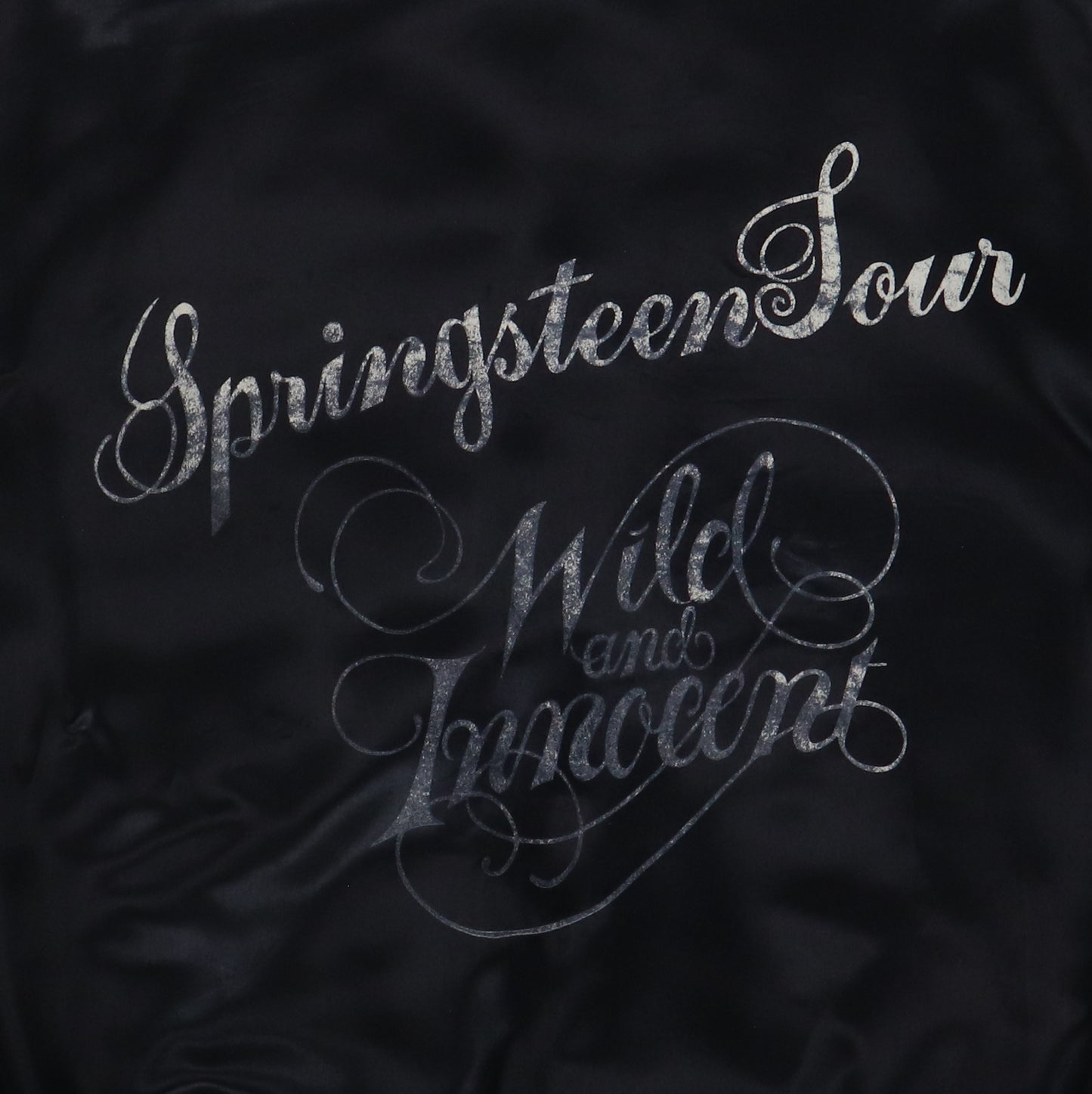 1973 Bruce Springsteen Wild And Innocent Jacket