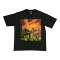 1995 Eagles Hell Freezes Over Tour Shirt