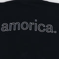 1994 Black Crowes Amorica Shirt