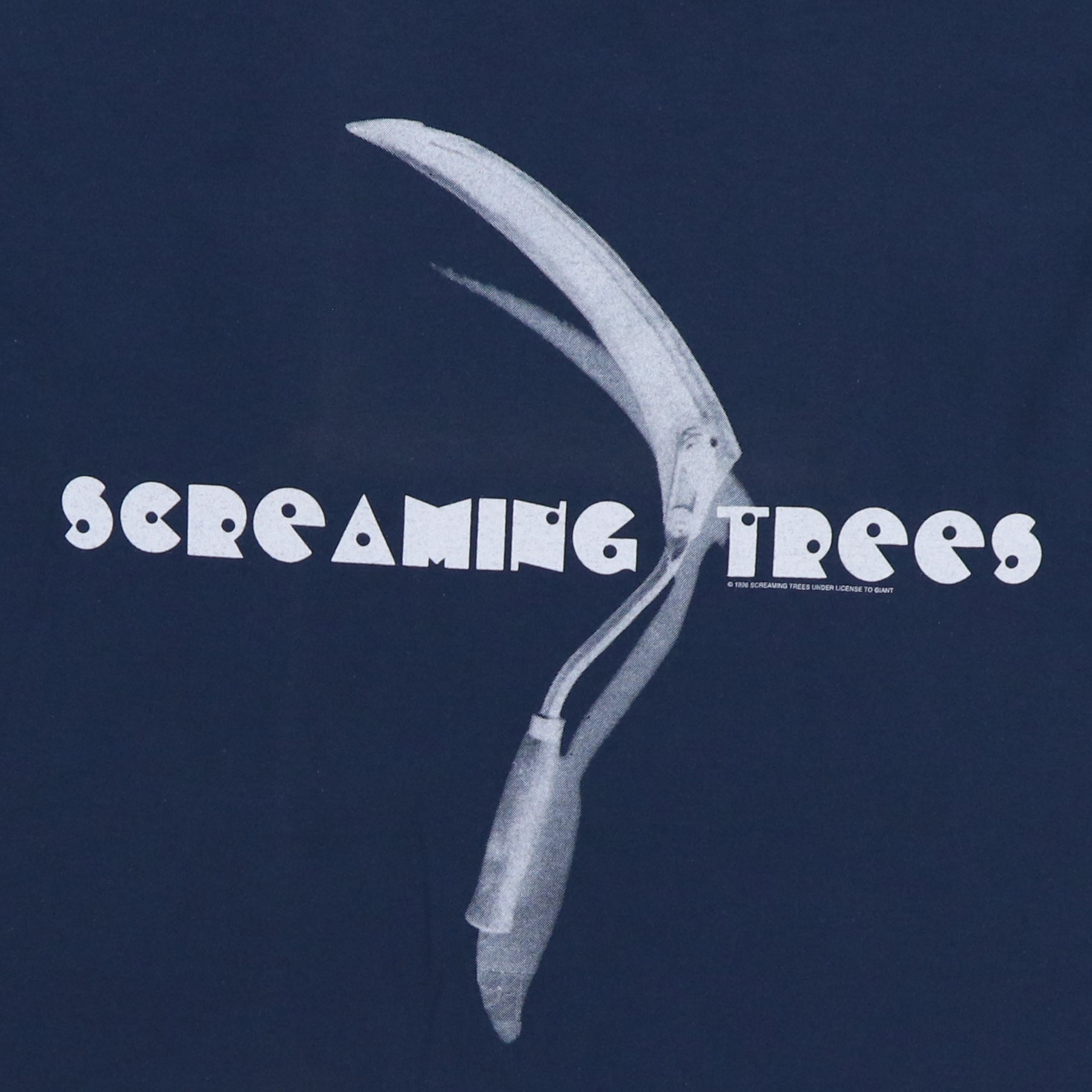 【人気盤】DUST / Screaming Trees US！ブラッククロウズ！ 人気盤】DUST / Screaming Trees US！ブラッククロウズ！