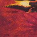 1996 Native American The Mountain Tie Dye Shirt