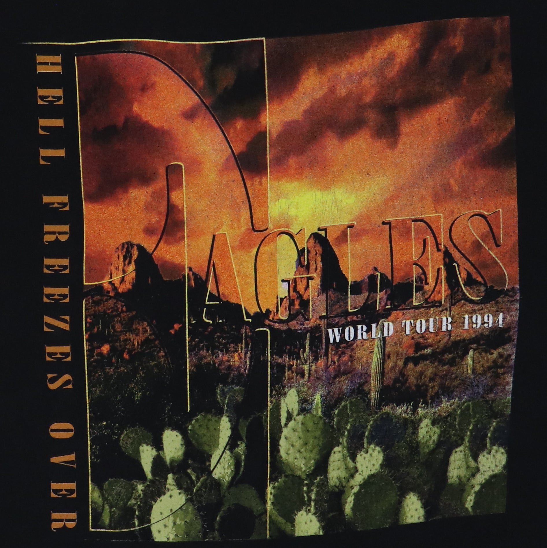 1994 Eagles Hell Freezes Over Tour Shirt | Authentic Vintage Tee