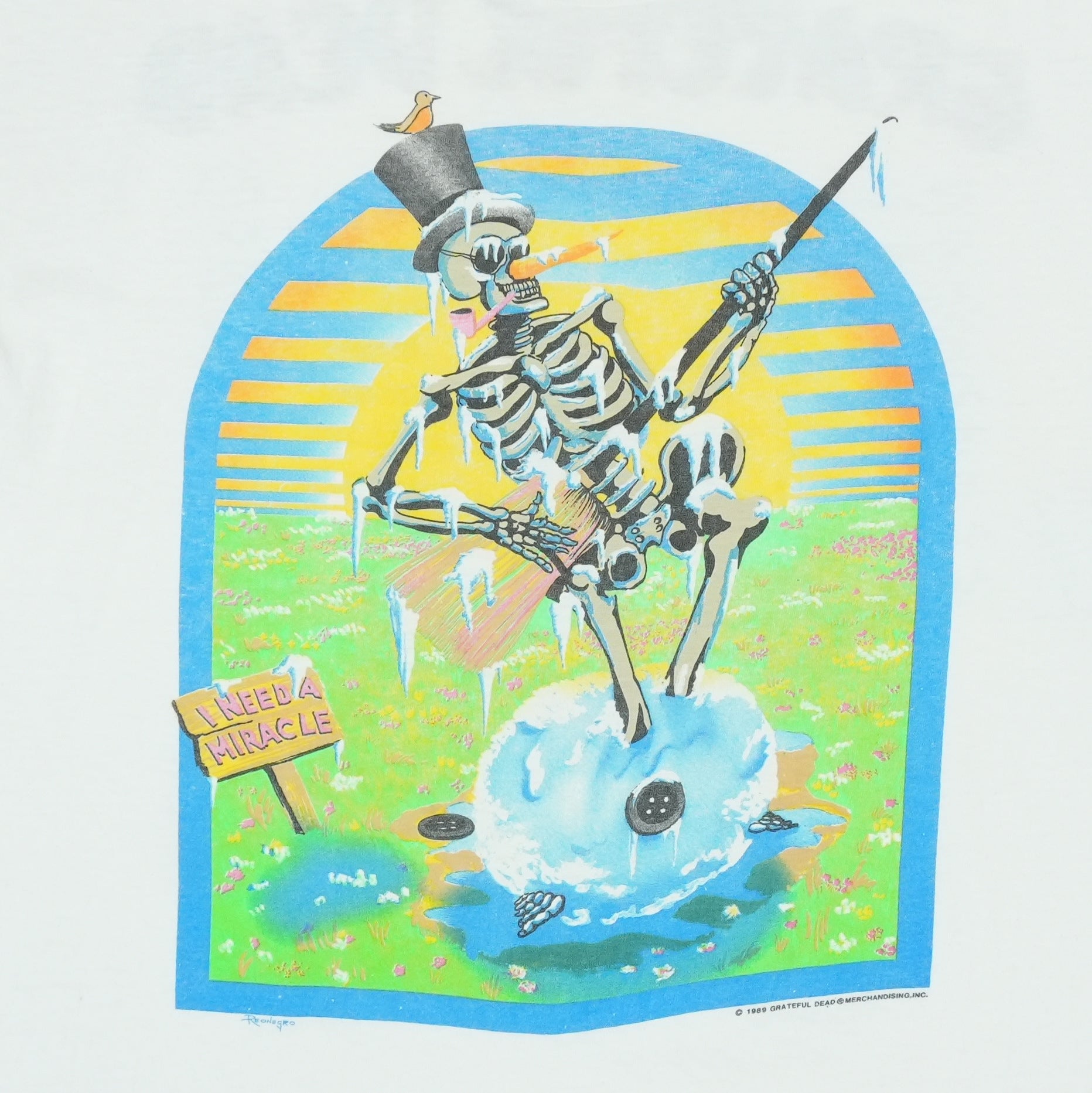 1989 Grateful Dead Spring Tour Shirt | Authentic Vintage Tee