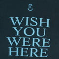 1996 Pink Floyd Wish You Were Here Shirt