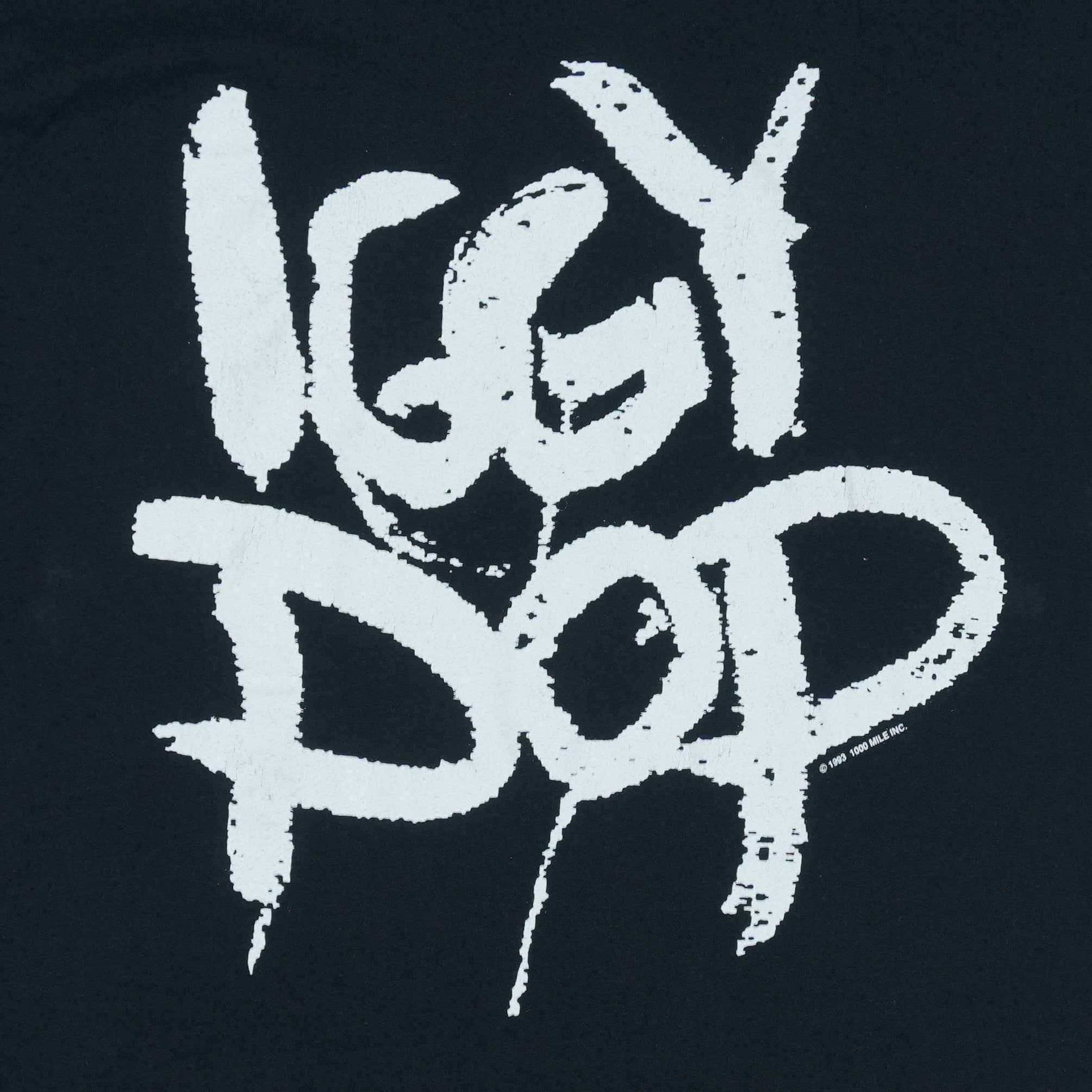 1993 Iggy Pop Caesar's World Tour Shirt | Authentic Vintage Tee