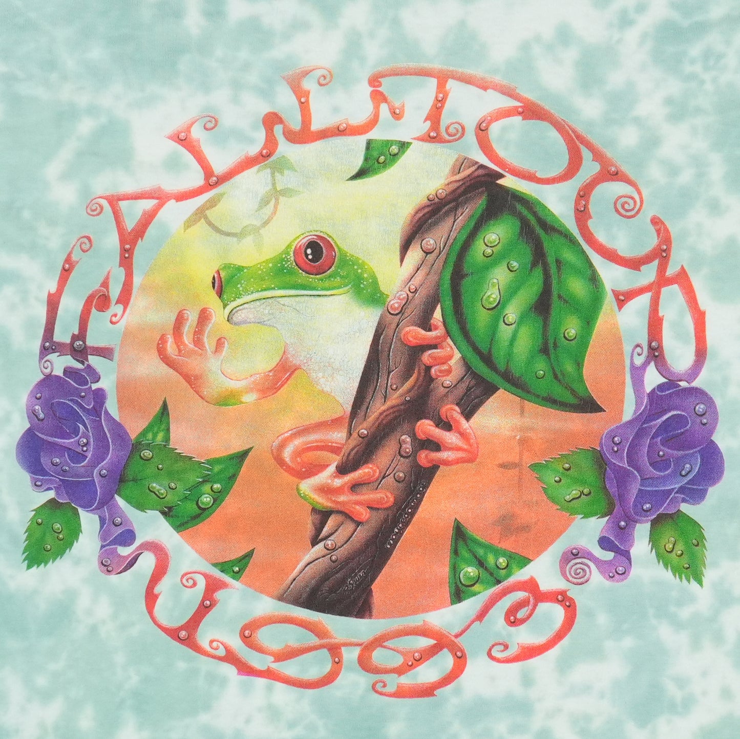 1993 Grateful Dead Fall Tour Tie Dye Shirt