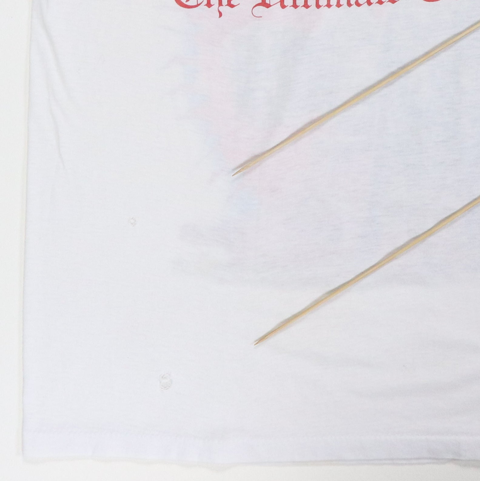 1986 Ozzy Osbourne Ultimate Sin Tour Sleeveless Shirt – WyCo