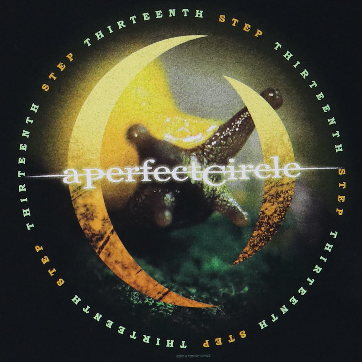 2003 A Perfect Circle Tour Shirt