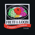1990s Fruit Of The Loom Country Comfort Tour Shirt