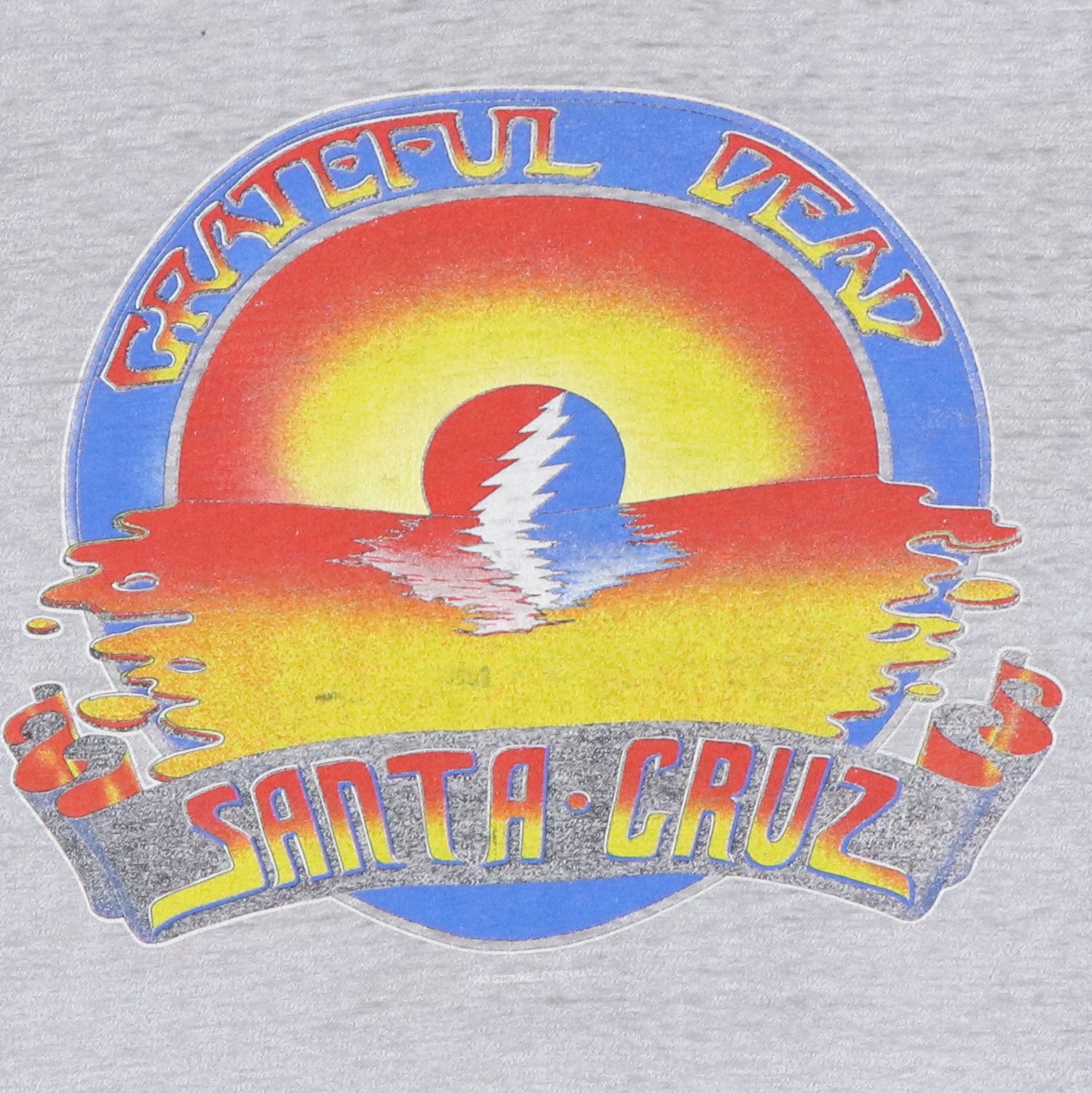 Original vintage 1983 Grateful Dead Santa Cruz Sleeveleless