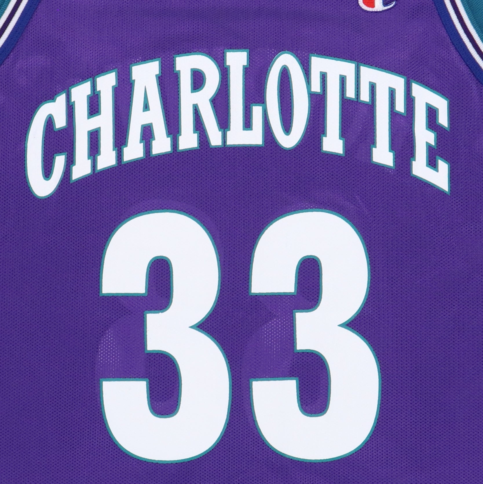 Original vintage 1990s Alonzo Mourning Charlotte Hornets