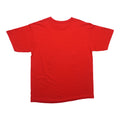1990s San Francisco 49ers Tribal Shirt Back
